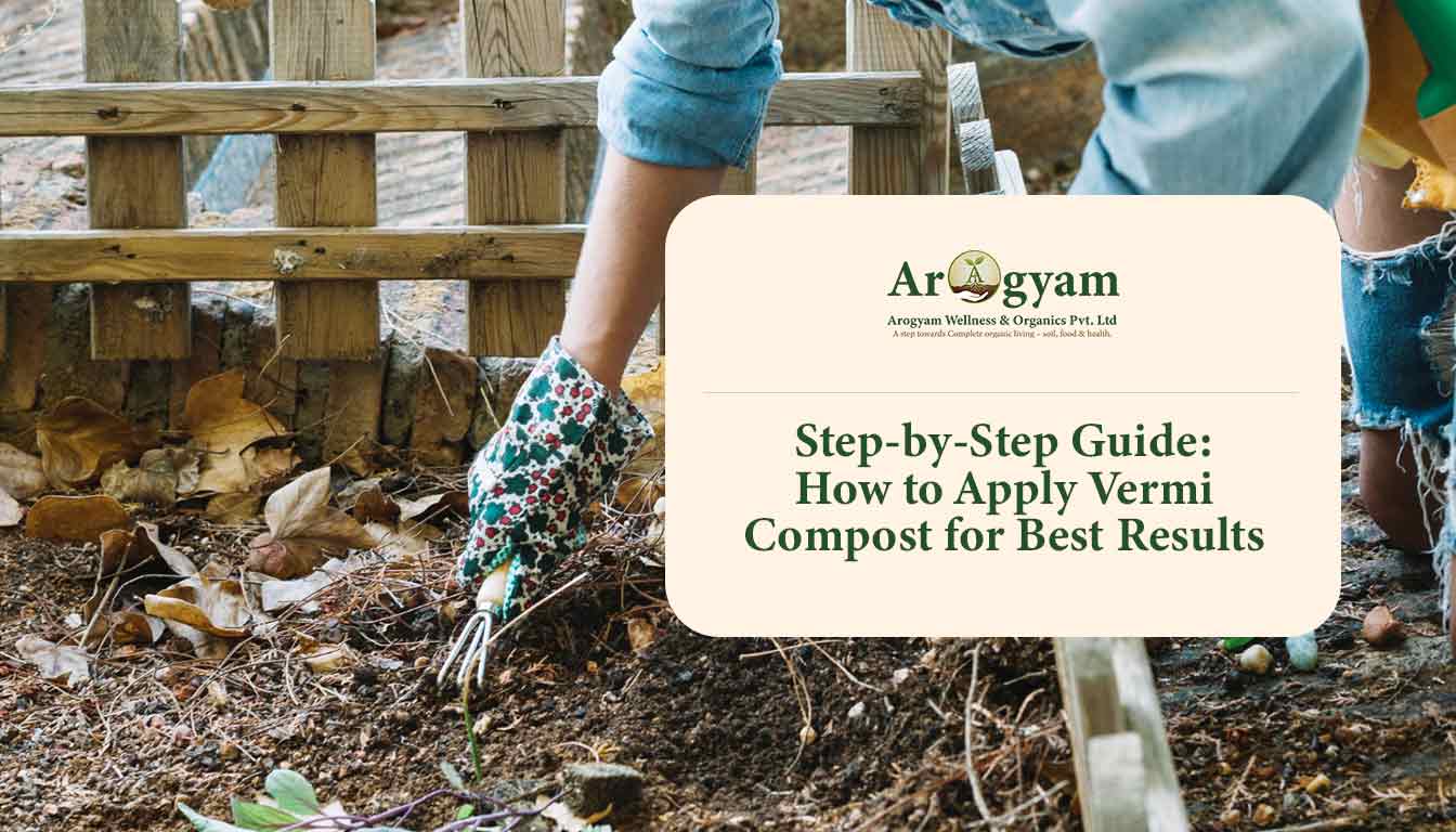 Step-by-Step Guide: How to Apply Vermi Compost for Best Results